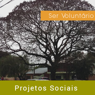 social voluntario